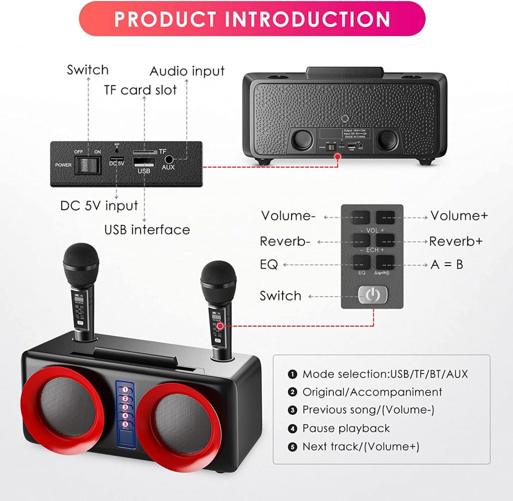 Karaoke Professionale Completo con 2 Microfono Wireless