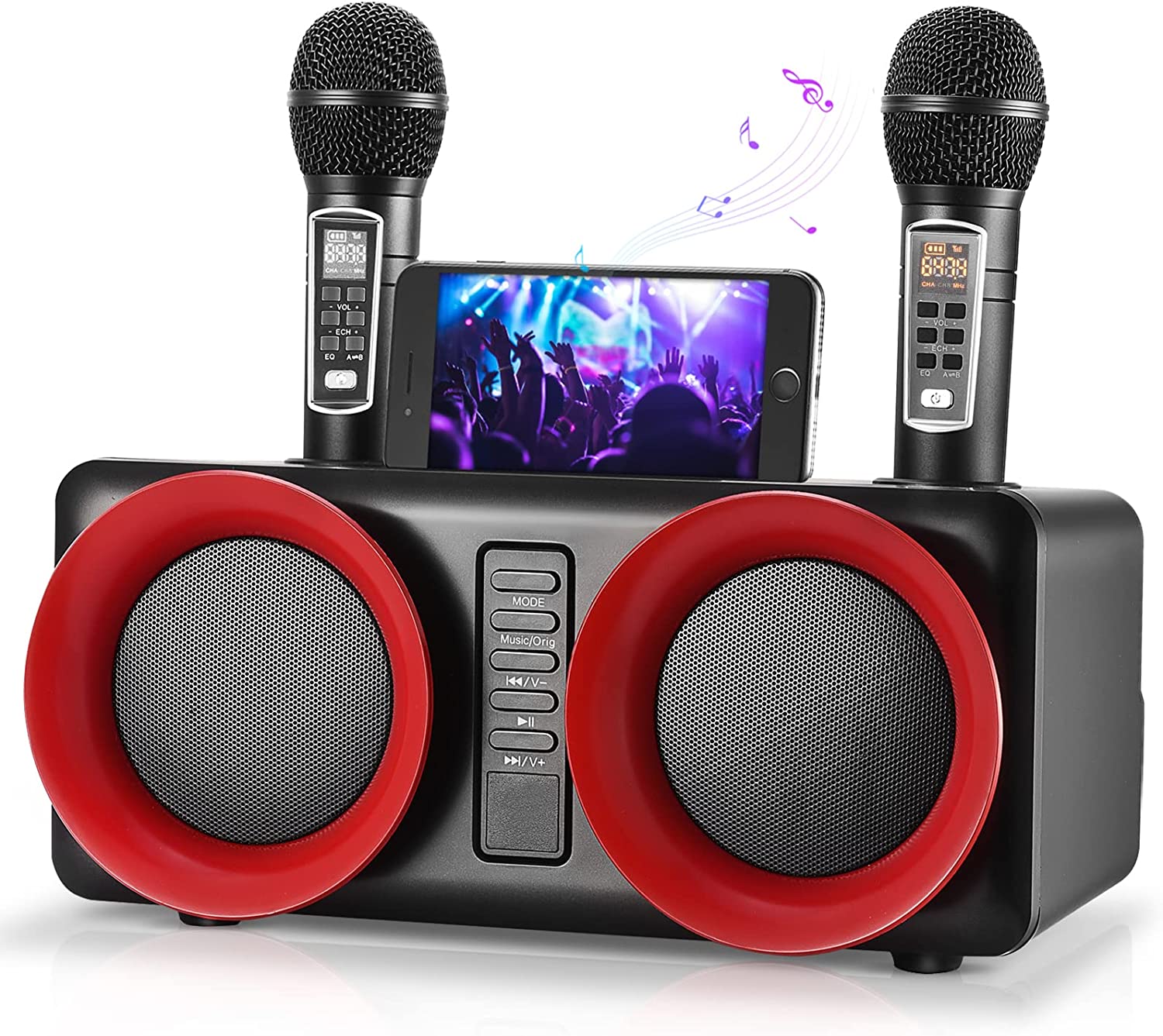 Karaoke Professionale Completo con 2 Microfono Wireless
